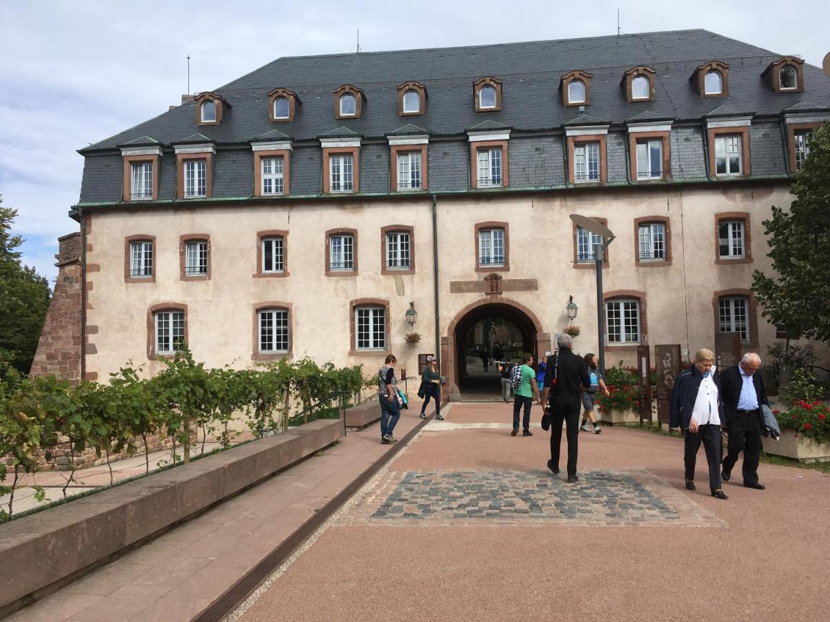 Bellefosse Maison Independante De Montagne En Alsace מראה חיצוני תמונה