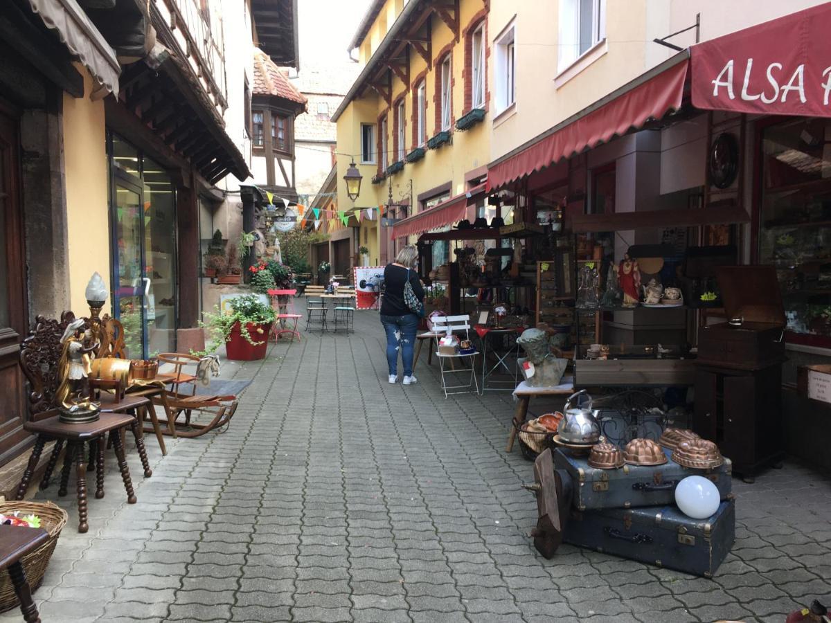 Bellefosse Maison Independante De Montagne En Alsace מראה חיצוני תמונה