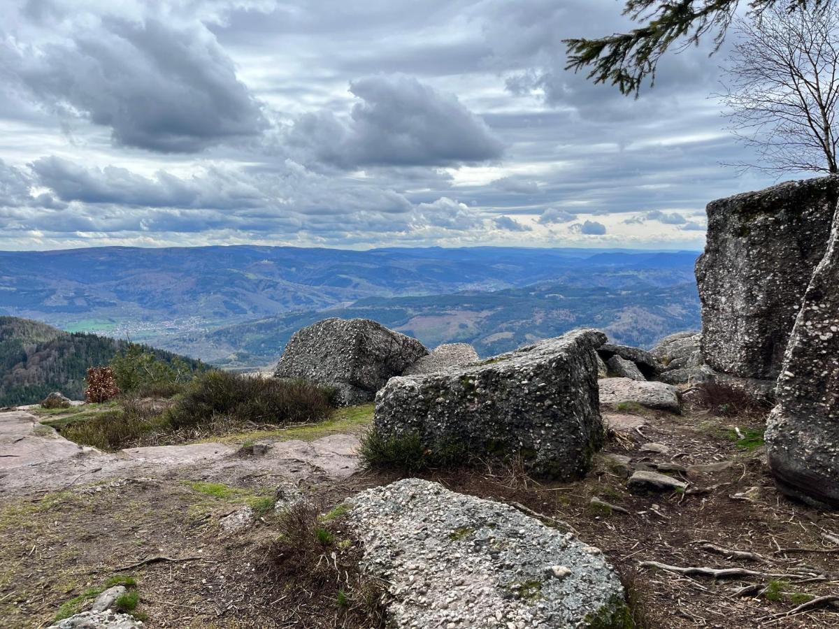 Bellefosse Maison Independante De Montagne En Alsace מראה חיצוני תמונה